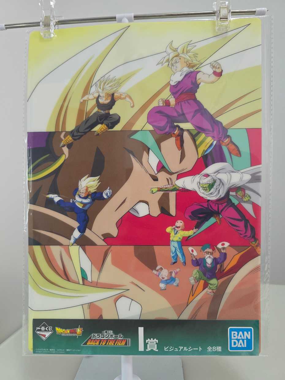 Guerreros Z vs Broly Cabello Azul (Póster)