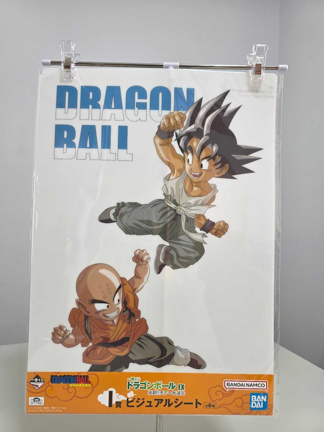 Gokú vs Krillin - Entrenamiento (Póster)