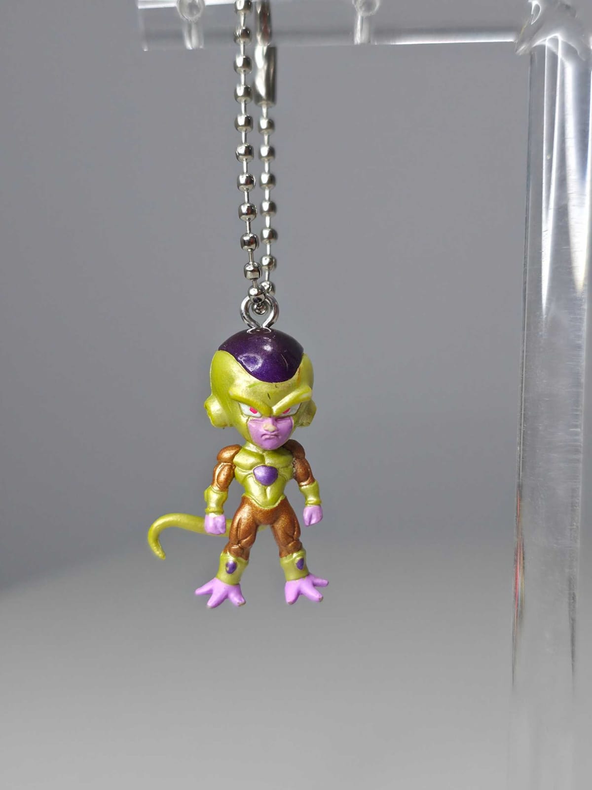 Golden Freezer en pose firme